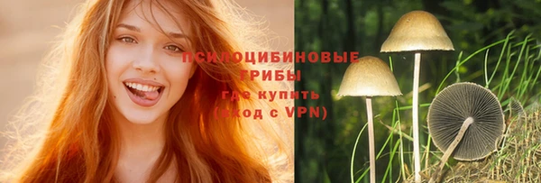 соль ск Абинск