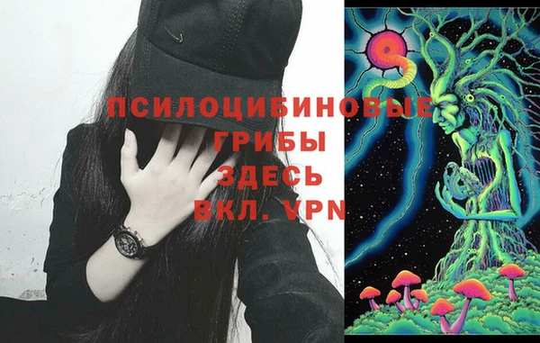 таблы Алексин